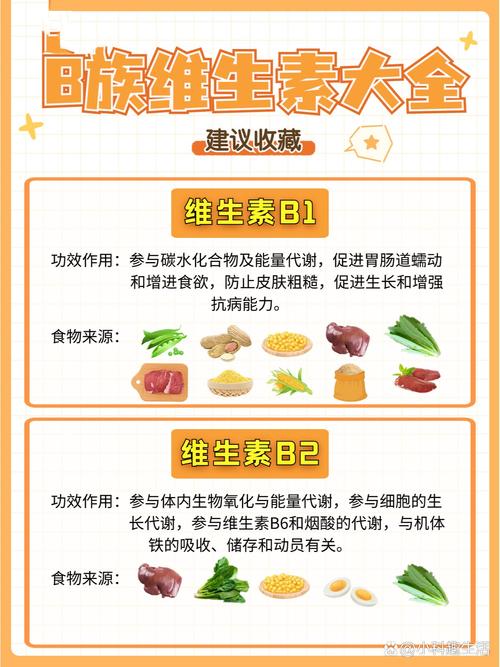 含b族维生素的食物排列表