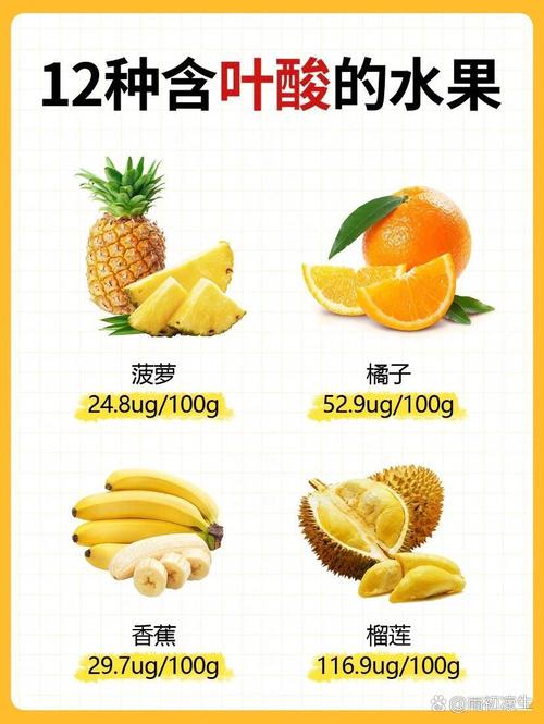 含叶酸的食物和水果有哪些?