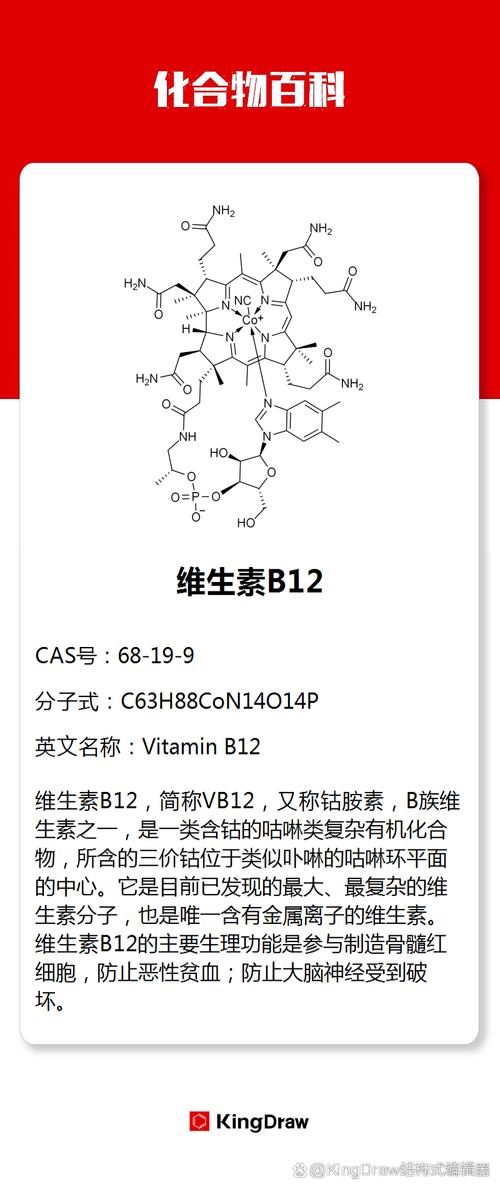 哪些食物富含维生素B12?