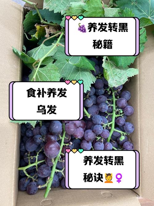 白发吃什么能自然变黑?