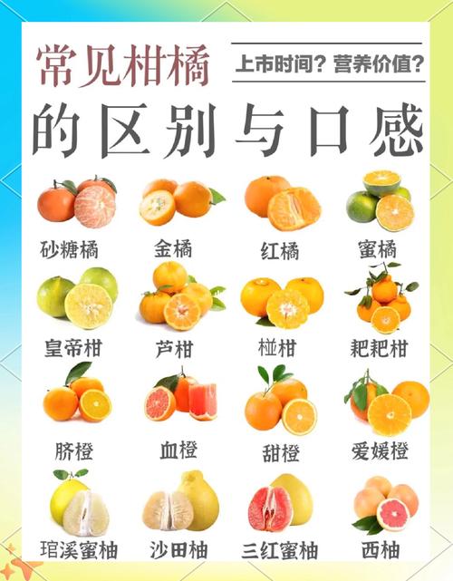 橘子不能和什么同食会中毒?