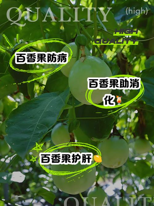 皮肤过敏能吃百香果吗?