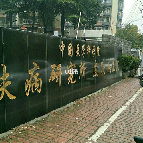 中国医学皮肤病研究院有何权威成果?