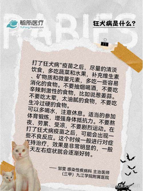 打狂犬疫苗期间饮食禁忌有哪些?