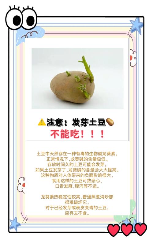 土豆不能和啥一起吃?这些搭配要避开?