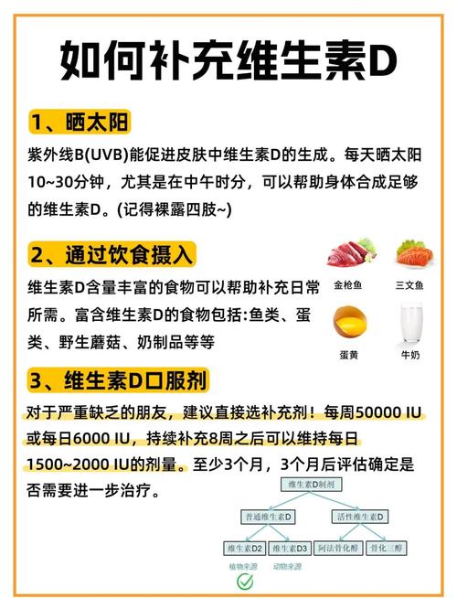 补充维生素d吃什么食物