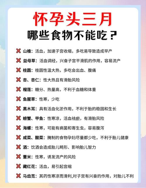 早期怀孕不能吃什么食物