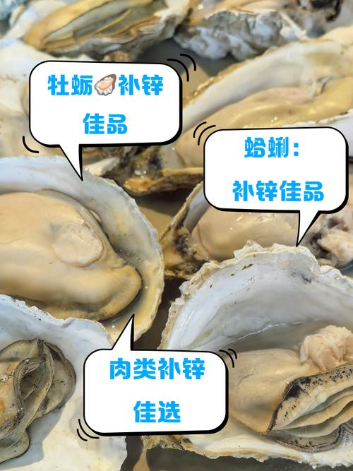 锌在什么食物中含量最高