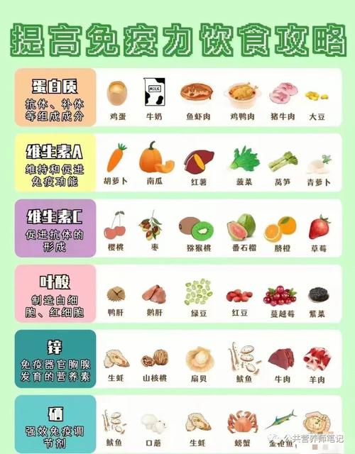 哪些食物能真正有效提高免疫力?