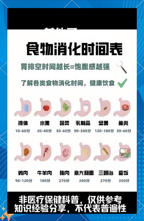 人消化食物需要多长时间