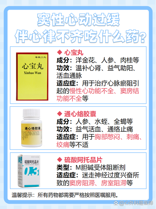 窦性心律过缓吃七种食物