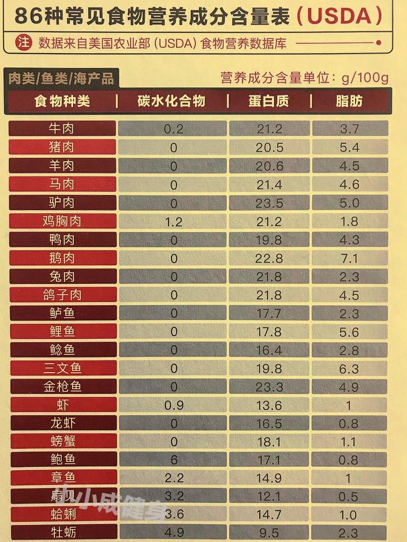 哪些食物动物蛋白质含量最高?