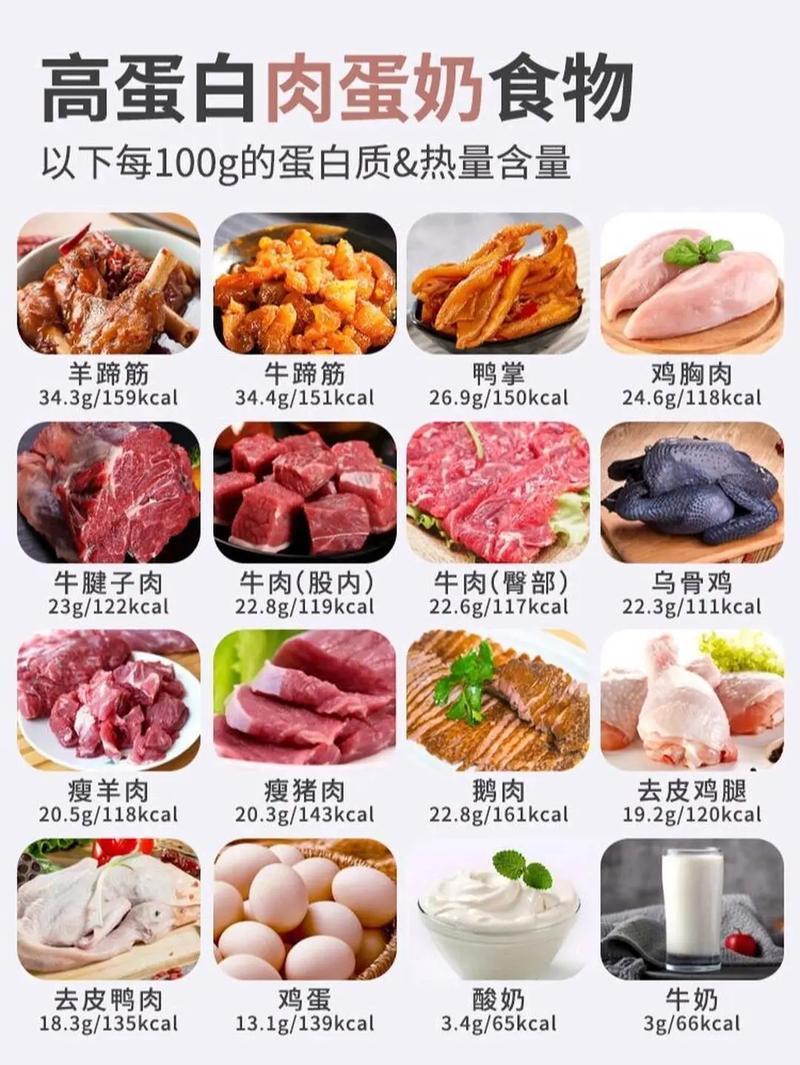 哪些食物动物蛋白质含量最高?