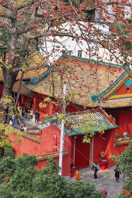 广州农讲所皮肤防治所