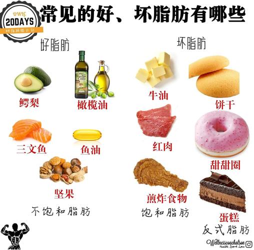 哪些食物含饱和脂肪酸最多?