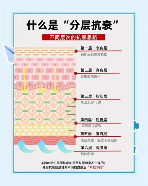 皮肤5大层各层具体作用是什么?