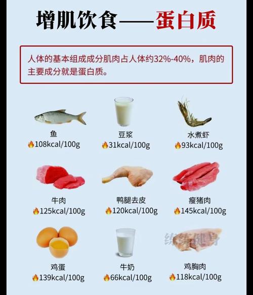 肌酸激酶低,吃什么食物能升上去?