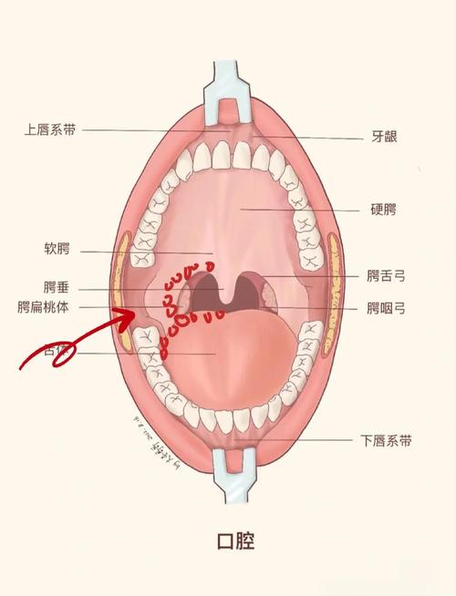 刚怀孕口腔溃疡怎么办?