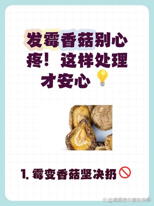 香菇不能和哪些食物一起吃?