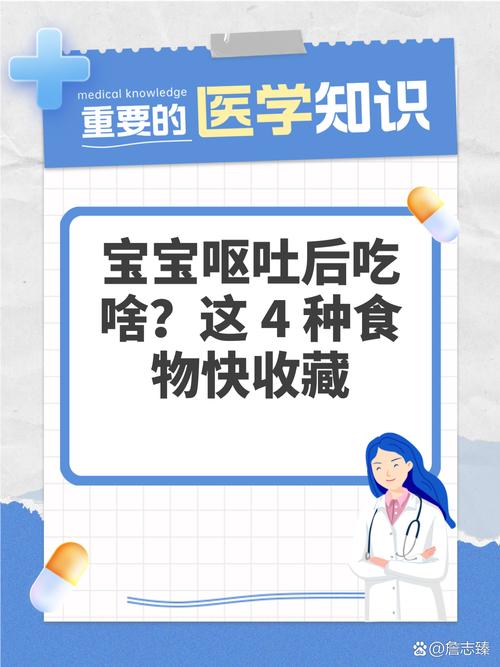 宝宝又吐又拉吃什么食物