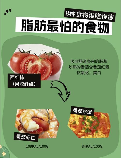 食物中能够燃烧的物质是