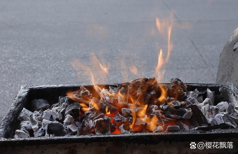 食物中能够燃烧的物质是