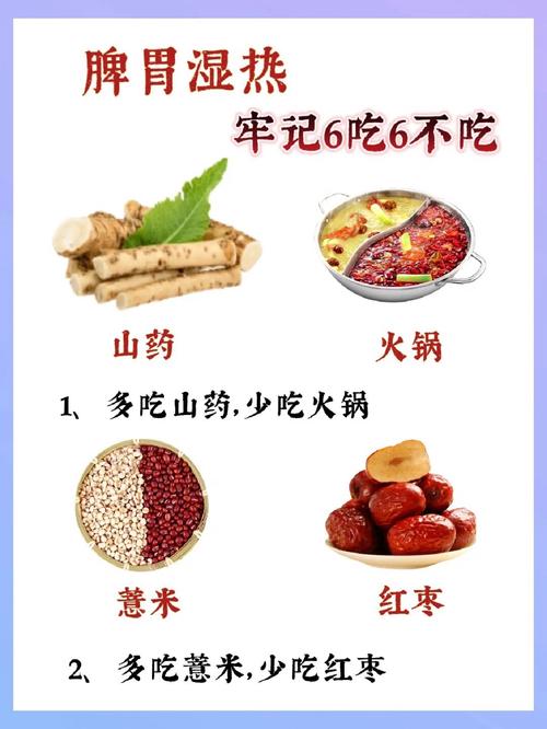 女性脾虚湿热吃什么食物