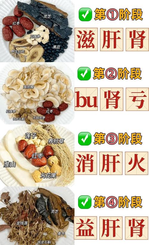 什么食物补阳气效果最好