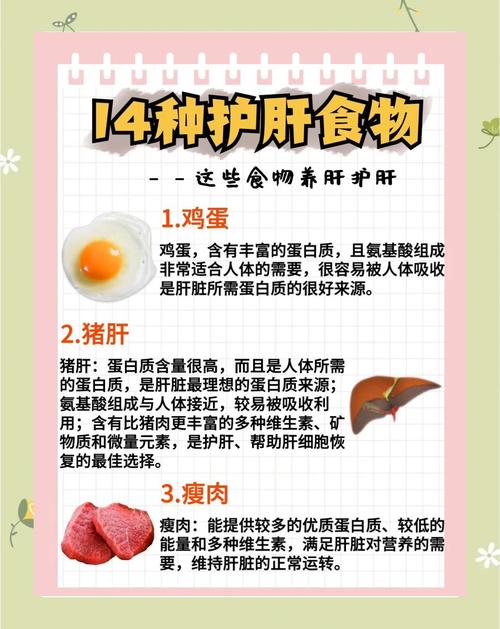 护肝补肝必吃哪三种食物?