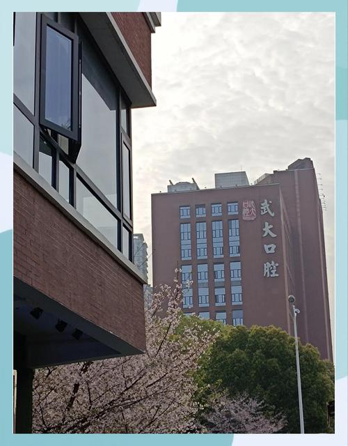 武大口腔金银潭门诊部