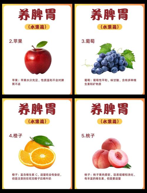 脾胃虚寒适合吃什么食物