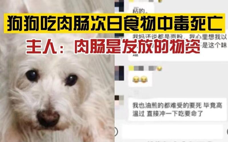 哪些食物吃后会致人死亡?