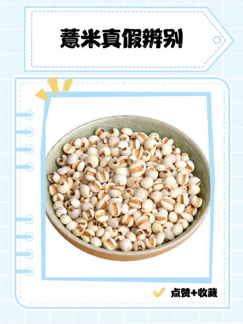 薏米是酸性还是碱性食物