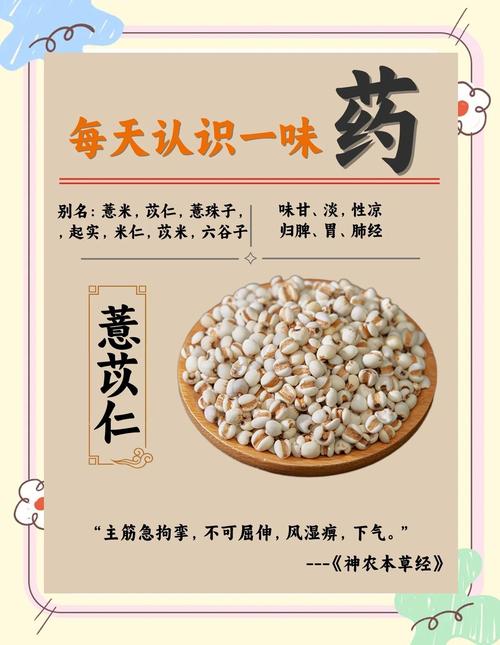 薏米是酸性还是碱性食物