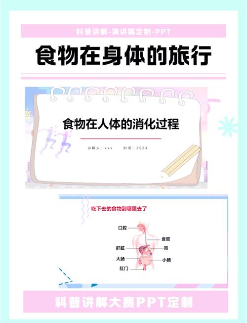 食物在体内的旅行ppt