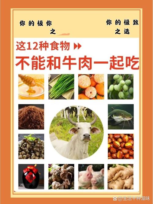 不能和牛肉一起吃的食物
