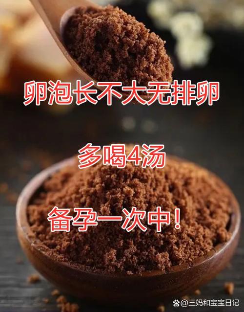 卵泡发育差,吃什么食物能调理好?