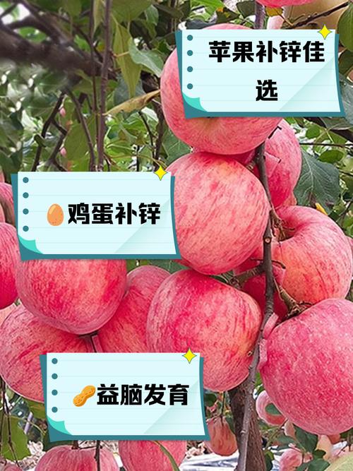 补锌食物水果有哪些?30字疑问标题生成完毕。