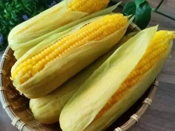 哪些食物能真正促进雌性激素分泌?