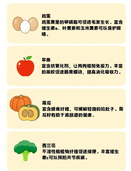 狗狗拉肚子吃什么食物好