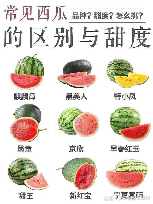 西瓜是酸性还是碱性食物