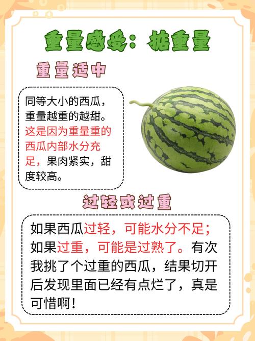 西瓜是酸性还是碱性食物