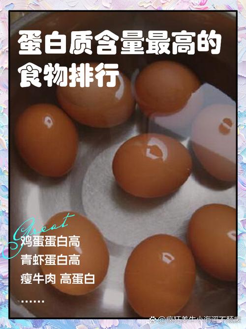 哪种食物蛋白质含量最高?