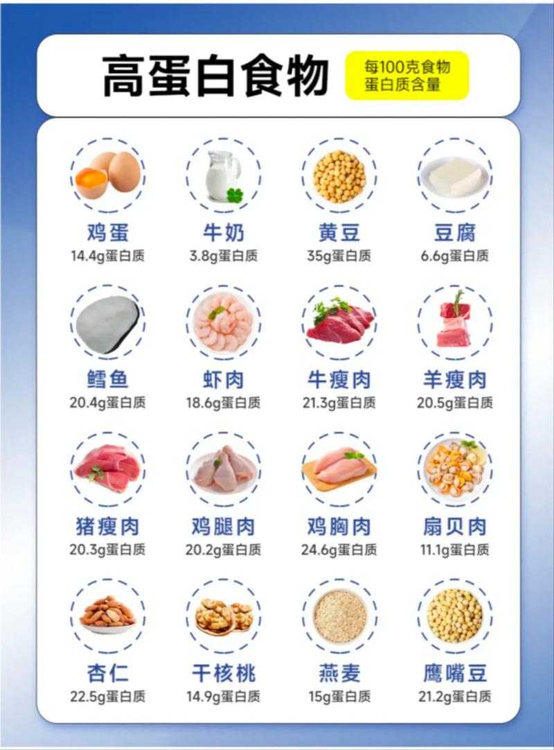 哪种食物蛋白质含量最高?