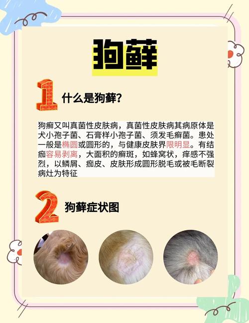 狗狗身上皮肤病怎么办