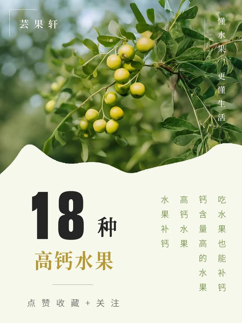 含钙食物水果有哪些?日常如何高效补钙?