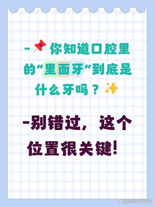 口腔最里面牙叫啥?