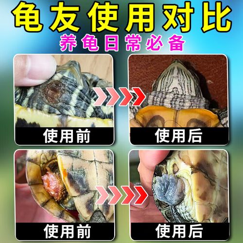 巴西龟皮肤溃烂如何处理?
