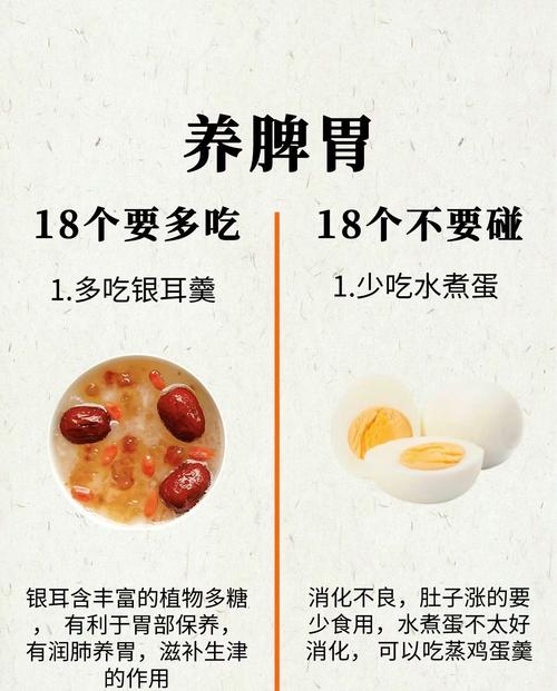 脾胃气虚吃什么食物调理最有效?