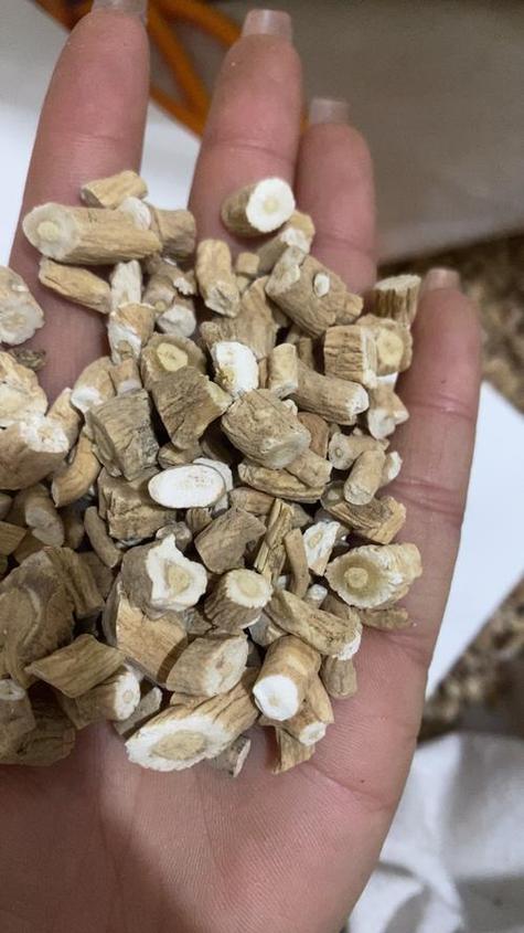 板蓝根真能治口腔溃疡吗?